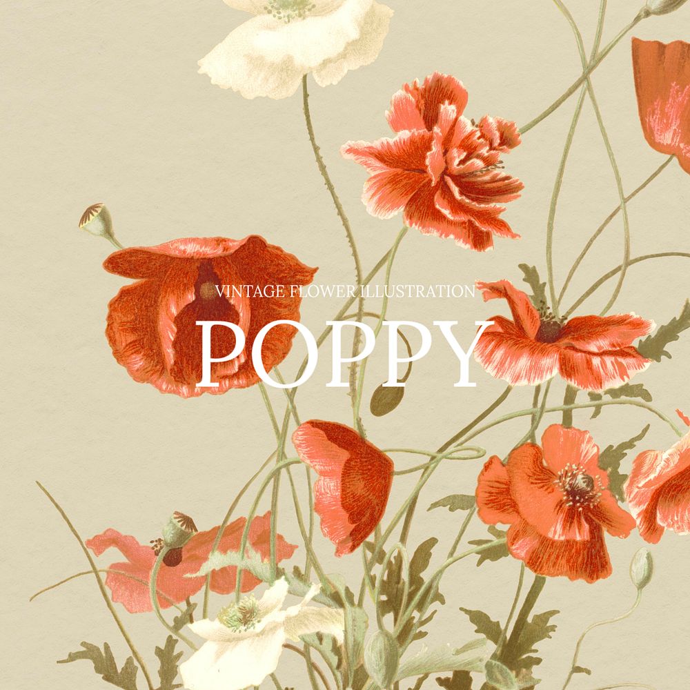 Poppy Facebook ad template, vintage flower design