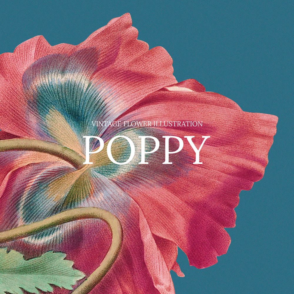 Poppy Facebook ad template, vintage flower design