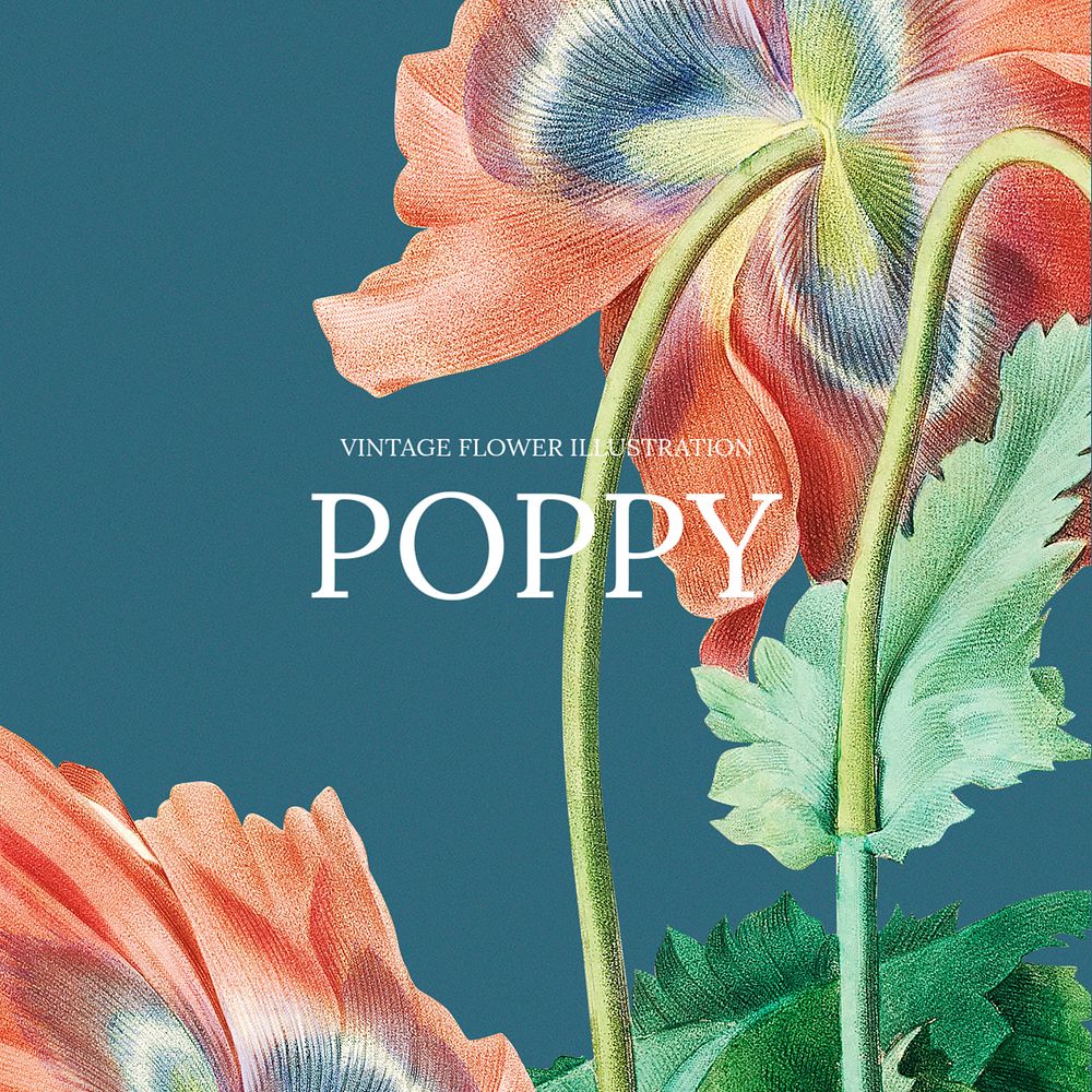 Poppy Facebook post template, vintage flower design