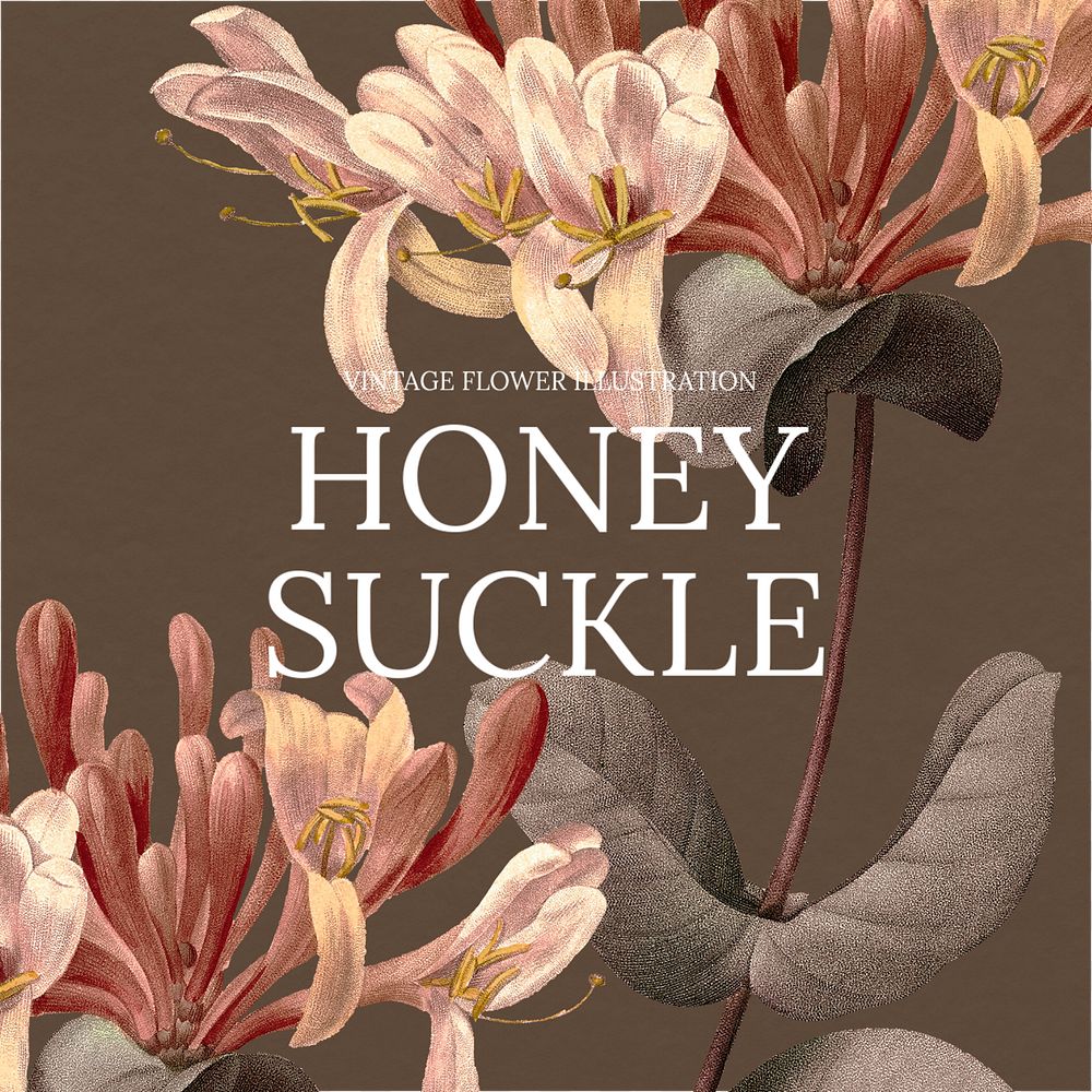 Honey suckle Facebook post template, vintage flower design