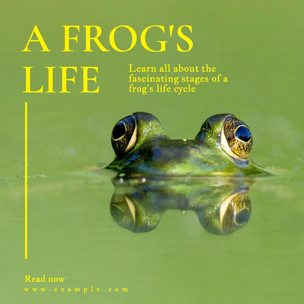 Frog life cycle Instagram post template