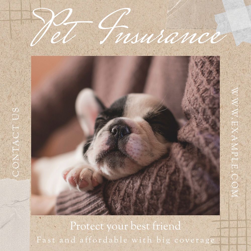 Pet insurance Instagram post template, editable text