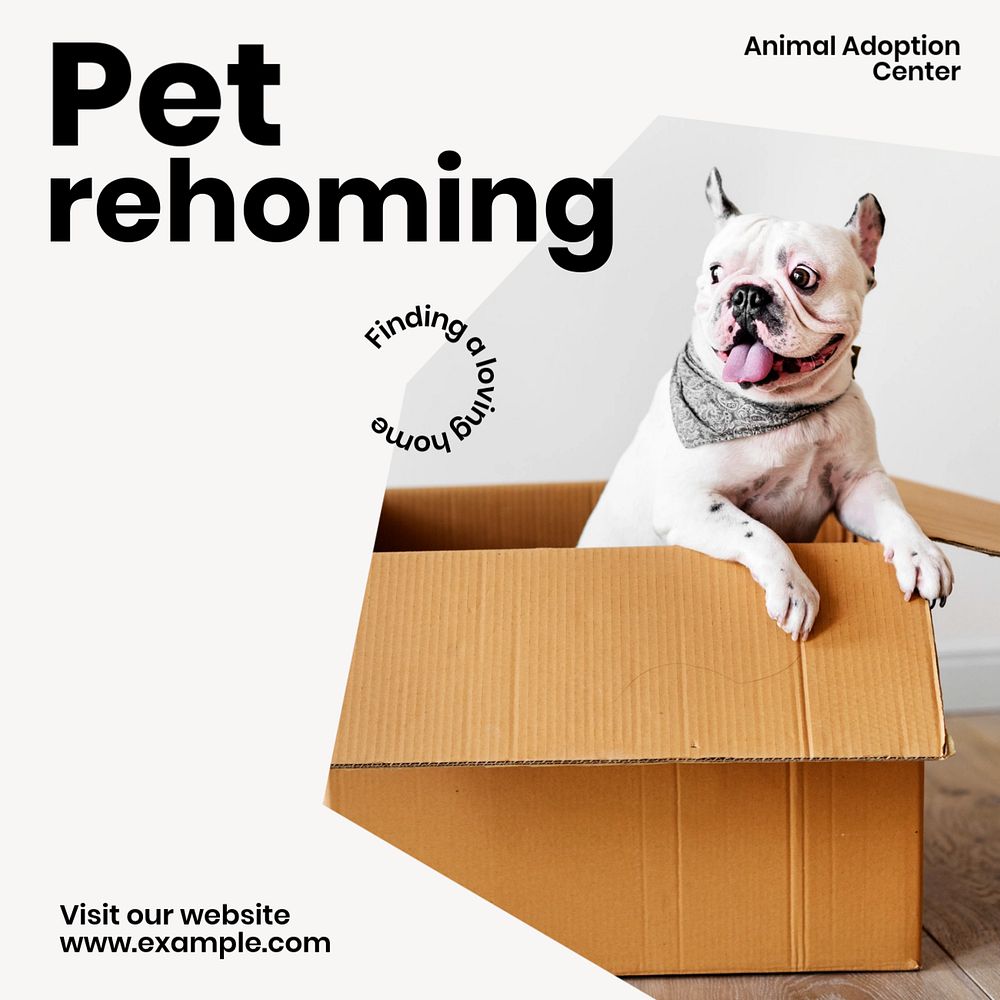 Pet adoption & rehoming