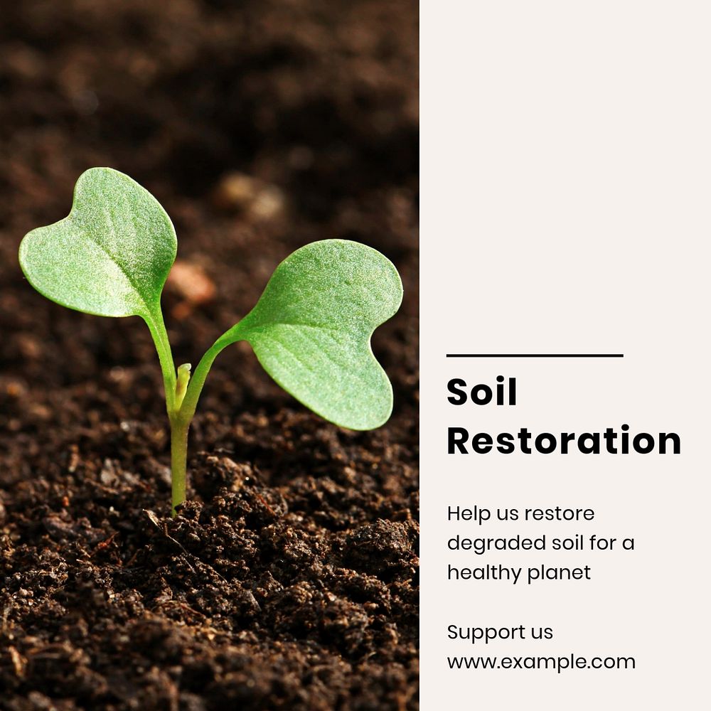 Soil restoration Instagram post template, editable design