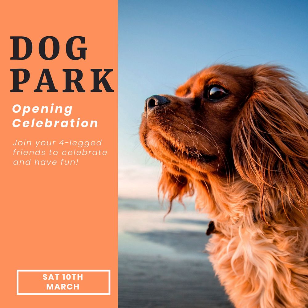 Dog park Instagram post template, editable text