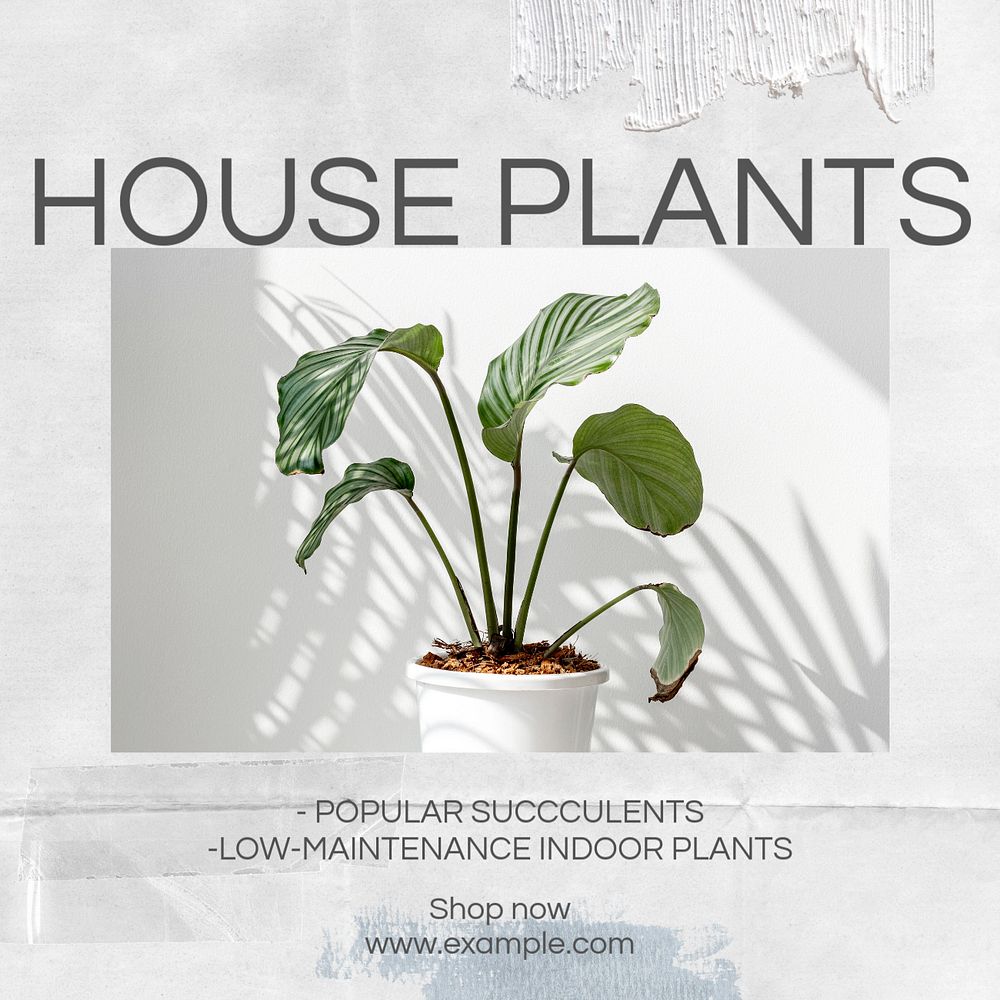 Home plants Instagram post template, editable design