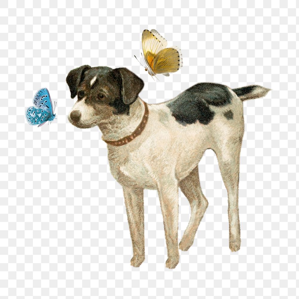 PNG Vintage dog with butterflies illustration transparent background editable design