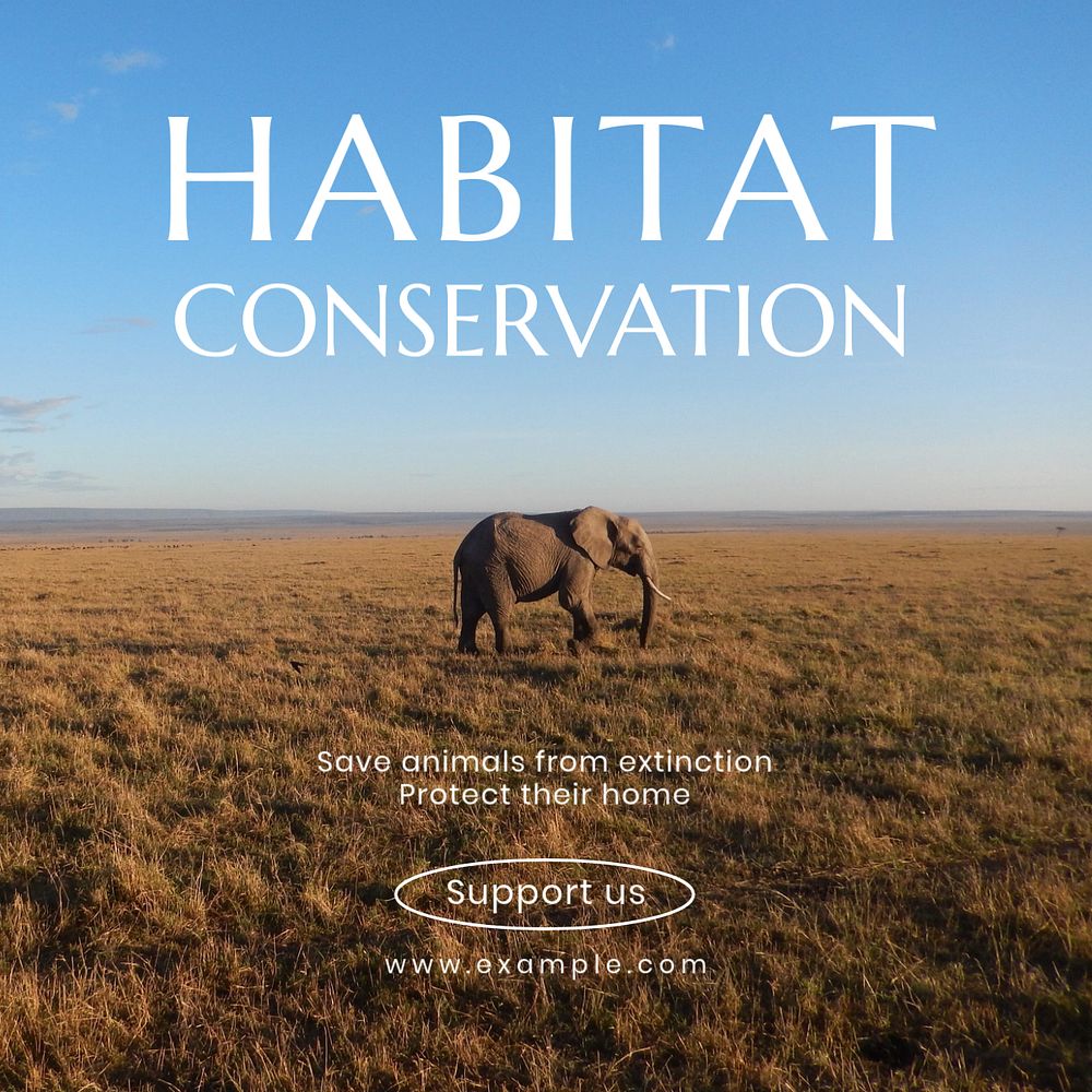 Habitat conservation Instagram post template, editable design