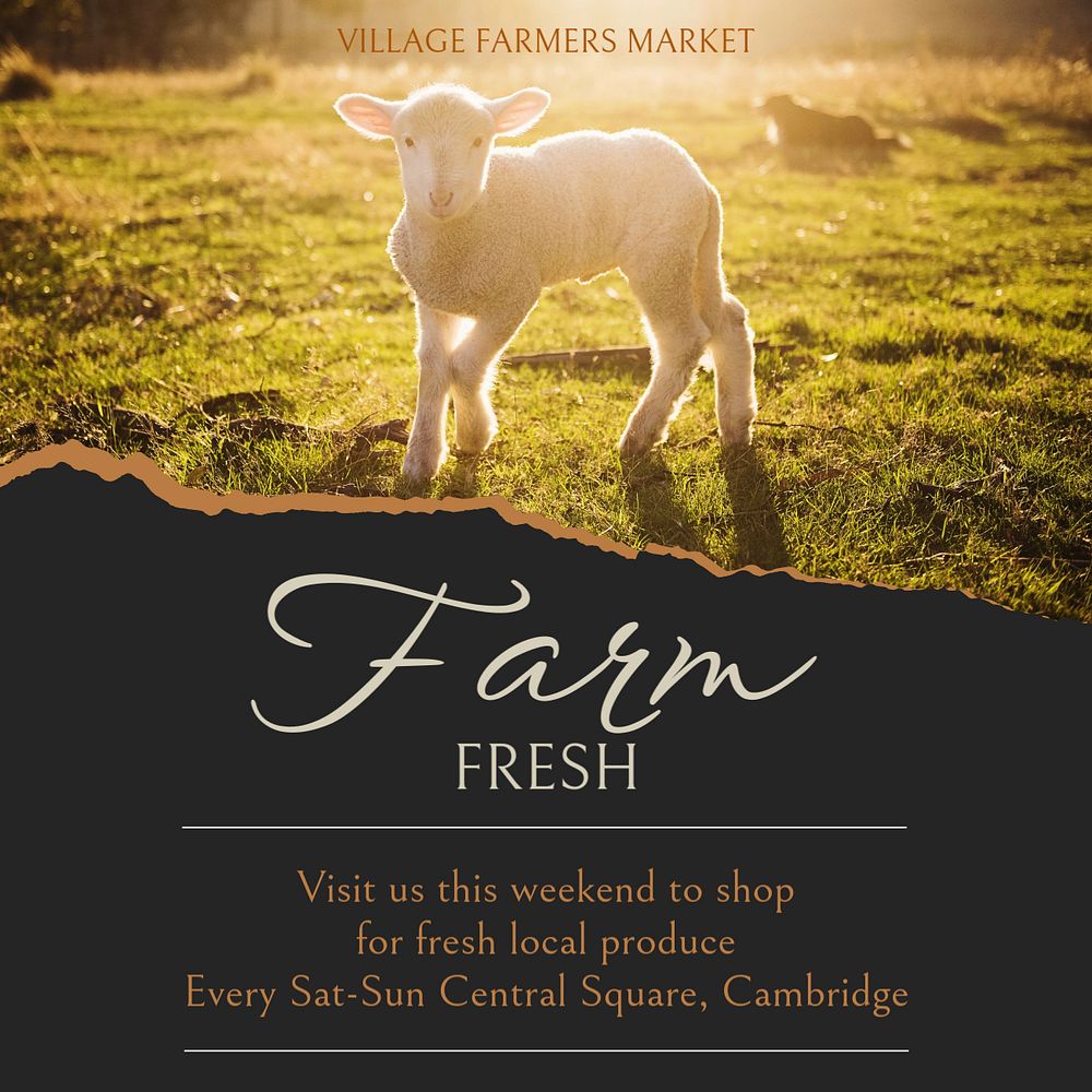 Farm fresh Instagram post template, editable social media design