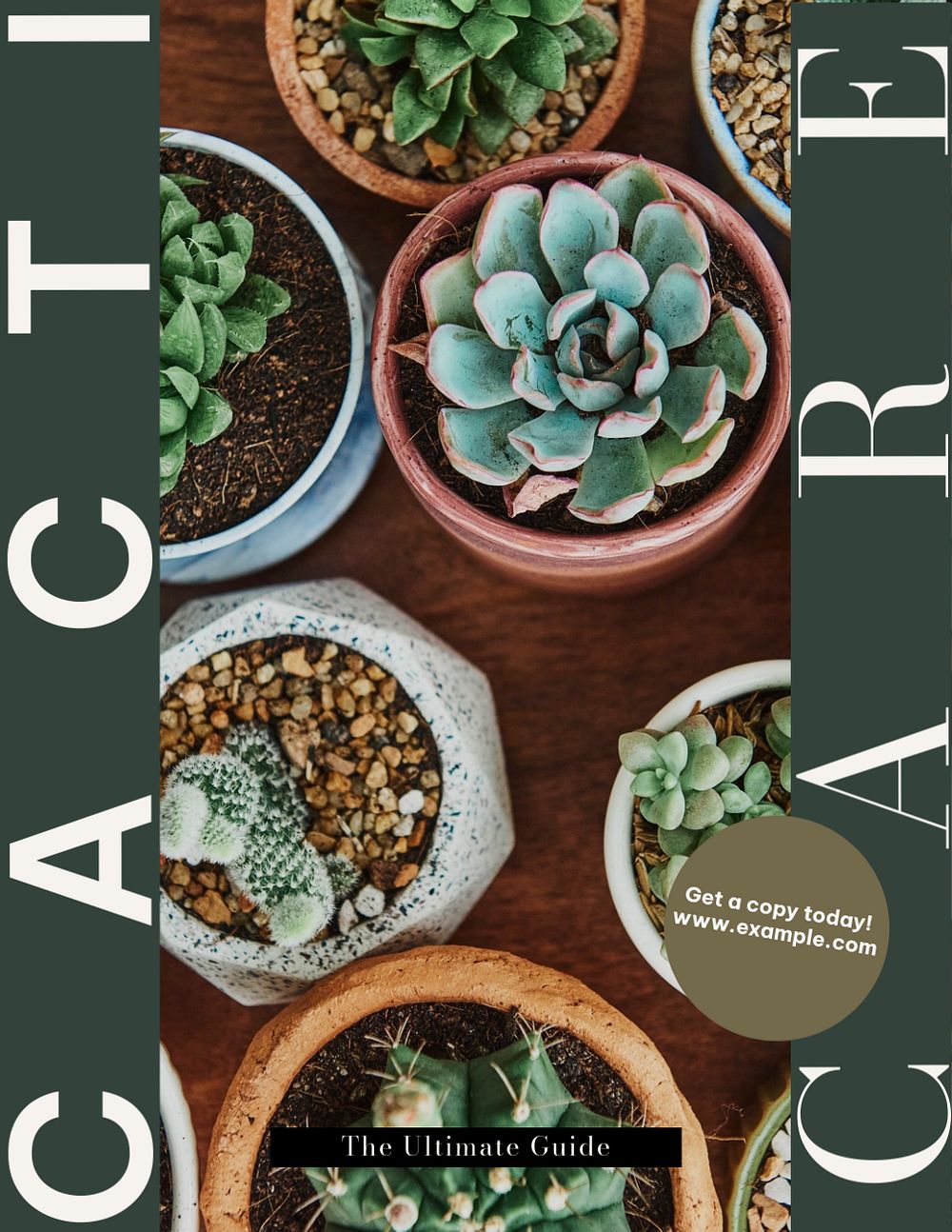 Cacti care book flyer template, editable text & design