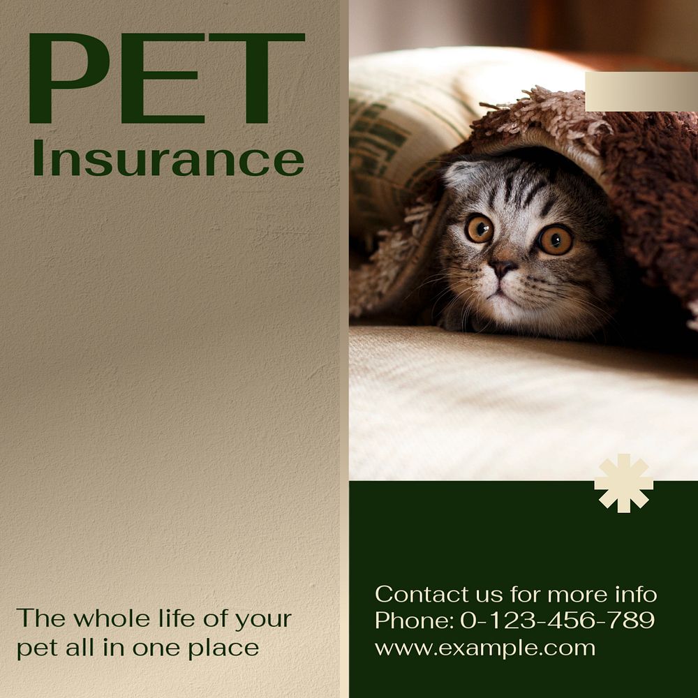 Pet insurance Instagram post template, editable social media design