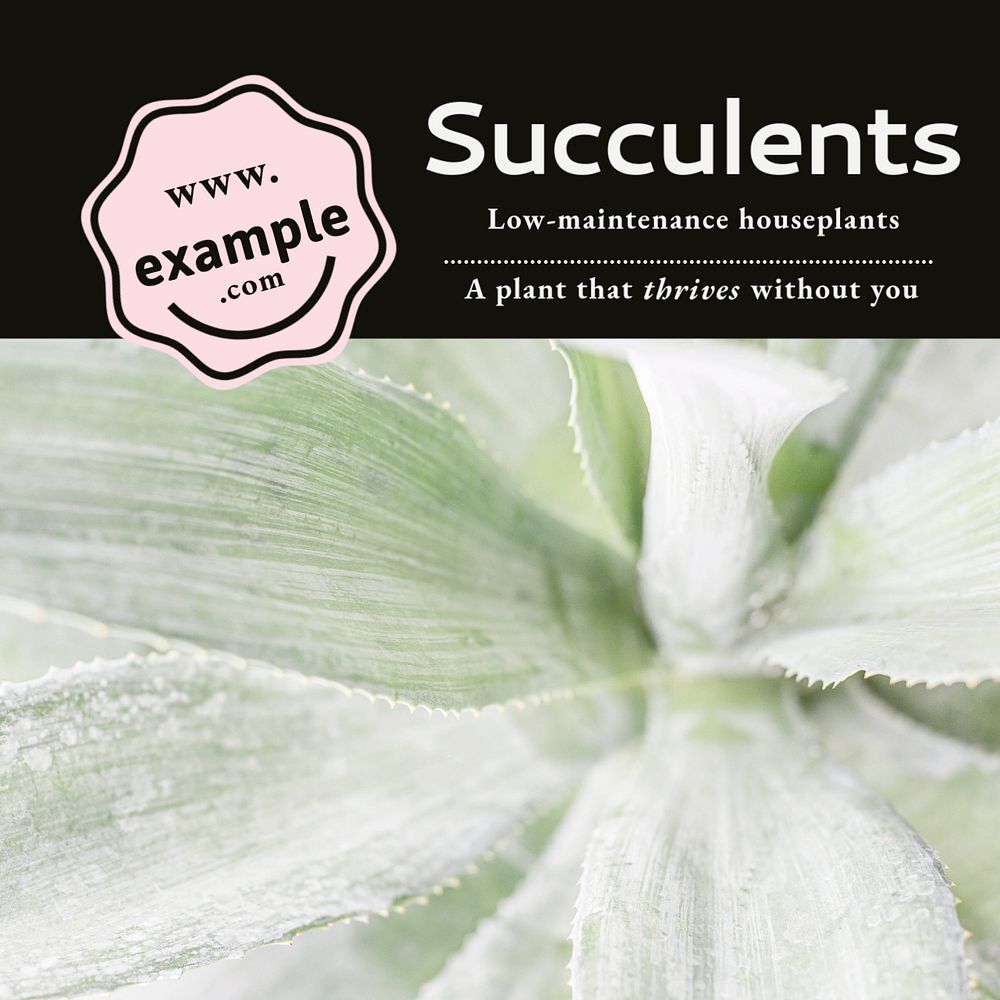 Succulents Instagram post template, editable social media design