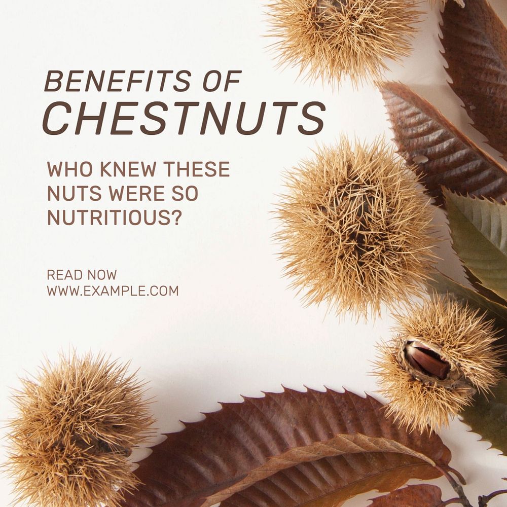 Chestnut benefits Instagram post template