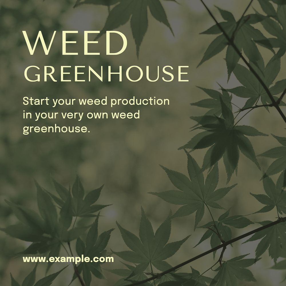 Weed greenhouse Instagram post template