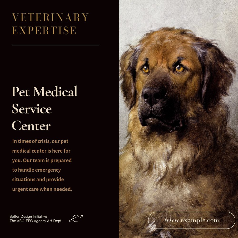 Pet medical service Facebook post template, editable design