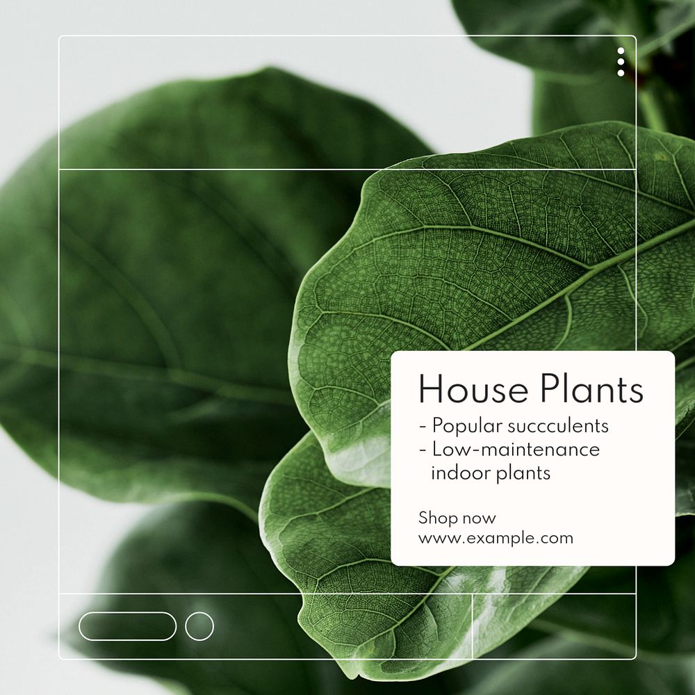 Home plants Instagram post template, editable text