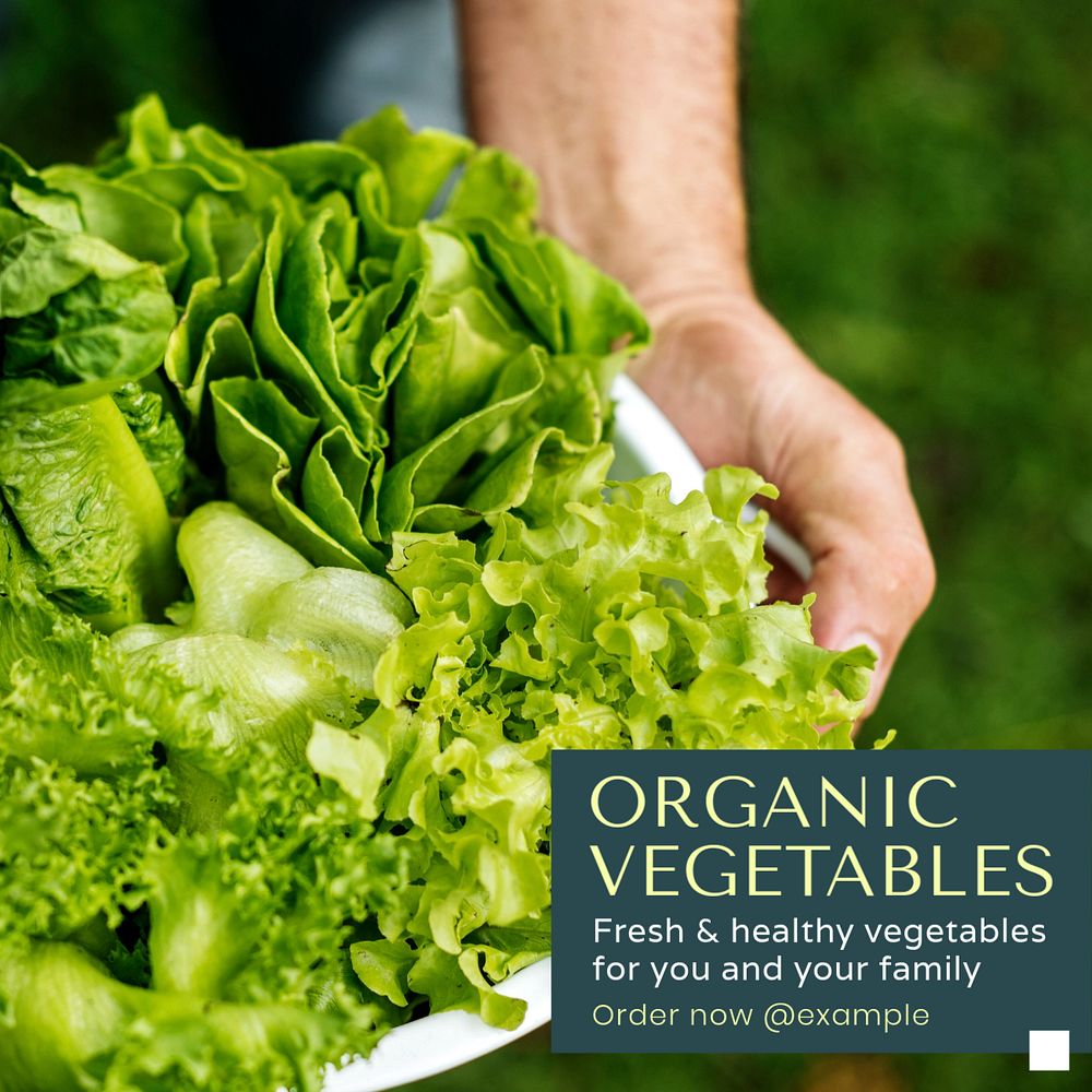 Organic vegetables Instagram post template, editable text