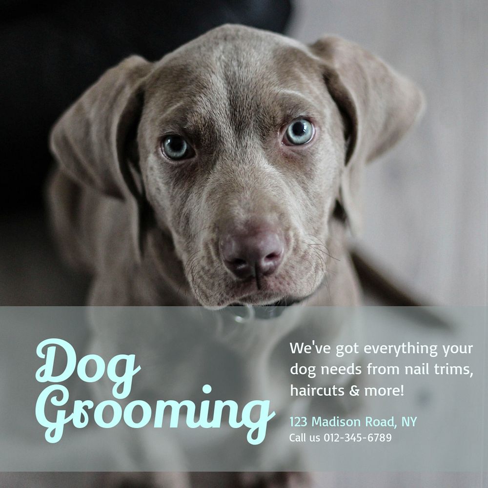 Dog grooming Facebook post template, editable design