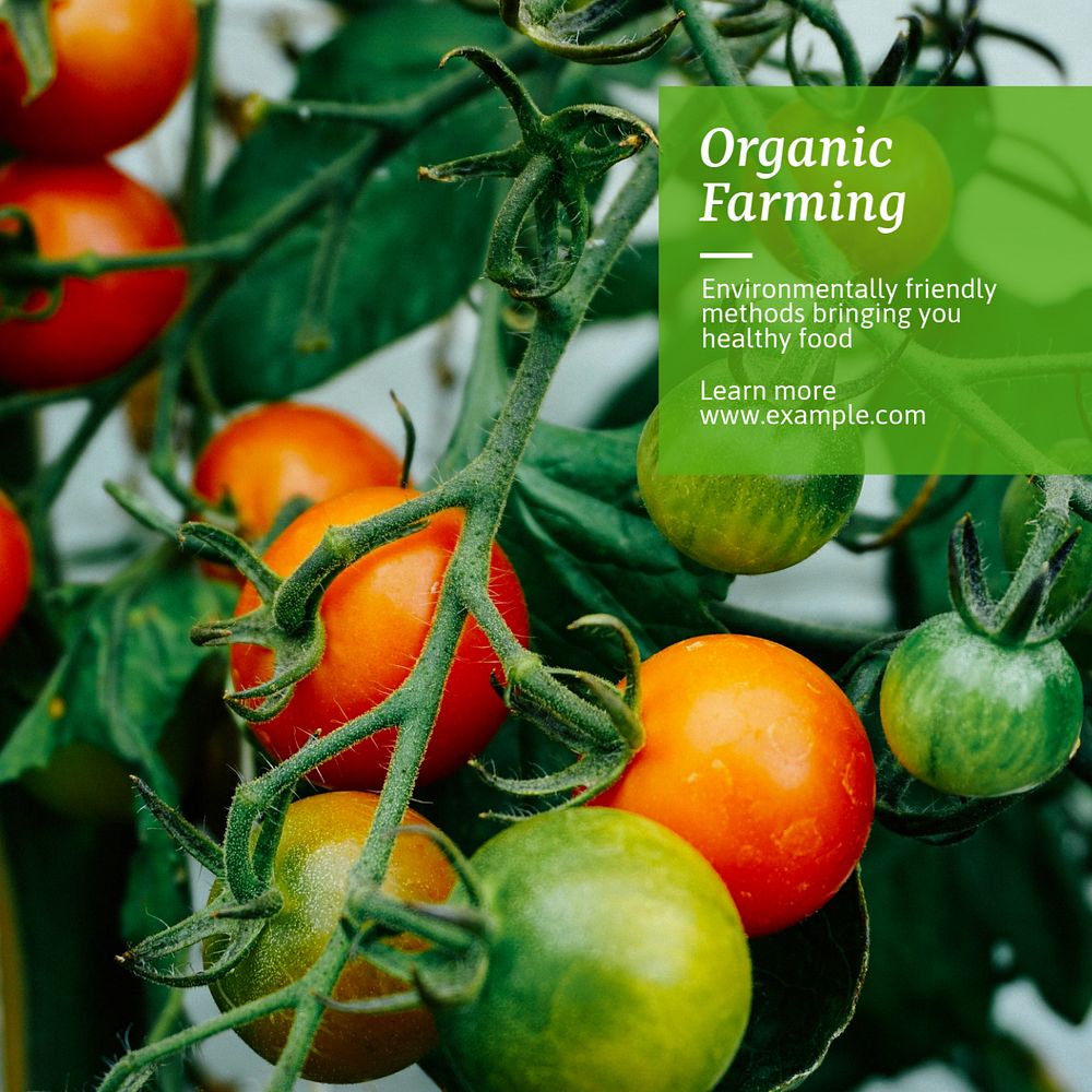 Organic farming Instagram post template, editable text