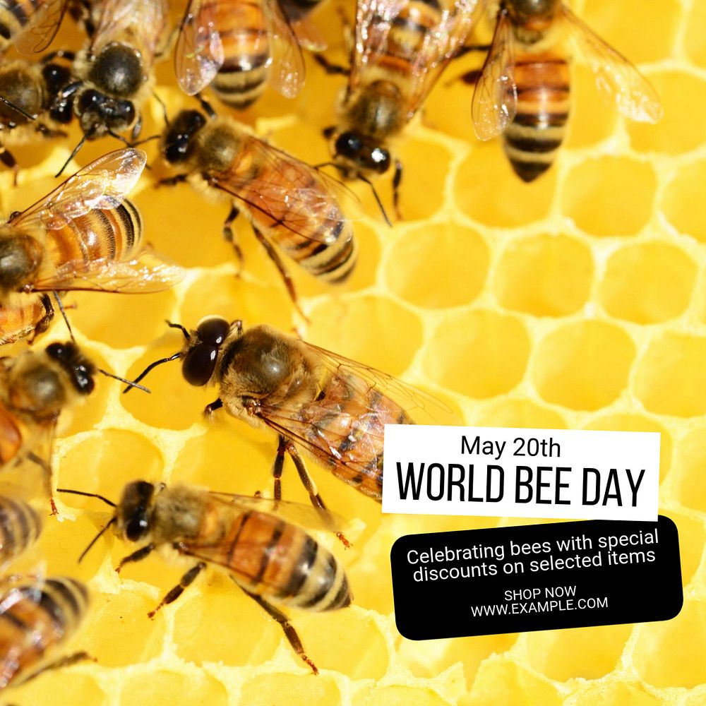 World Bee Day Instagram post template, editable text