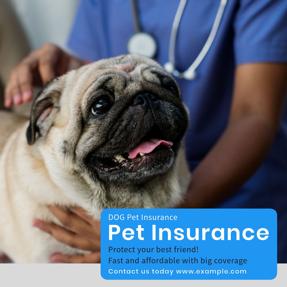 Pet insurance Instagram post template, editable text