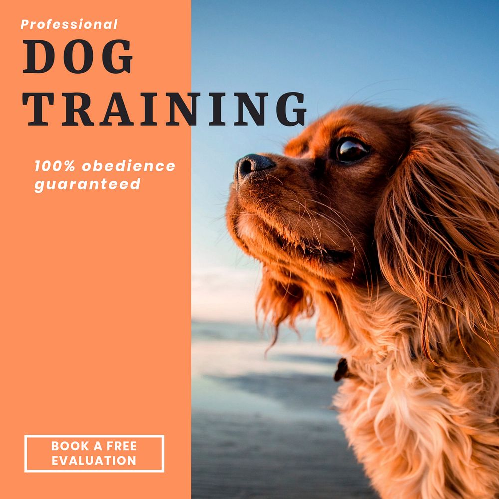Dog training Instagram post template, editable text