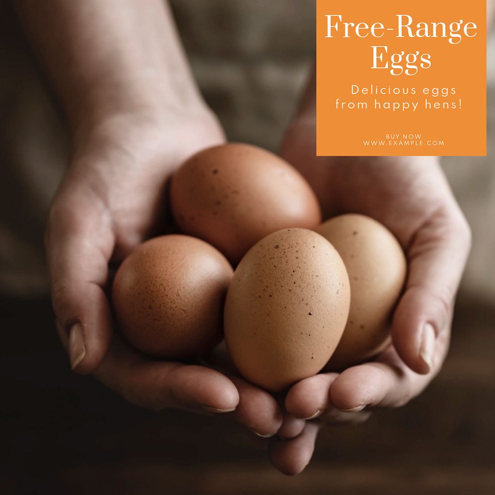 Free-range eggs Instagram post template, editable text