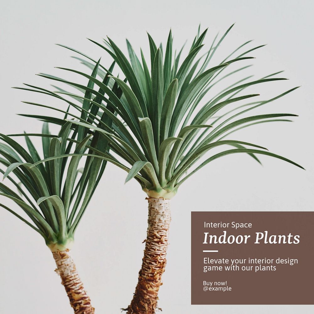 Plants Instagram post template, editable text