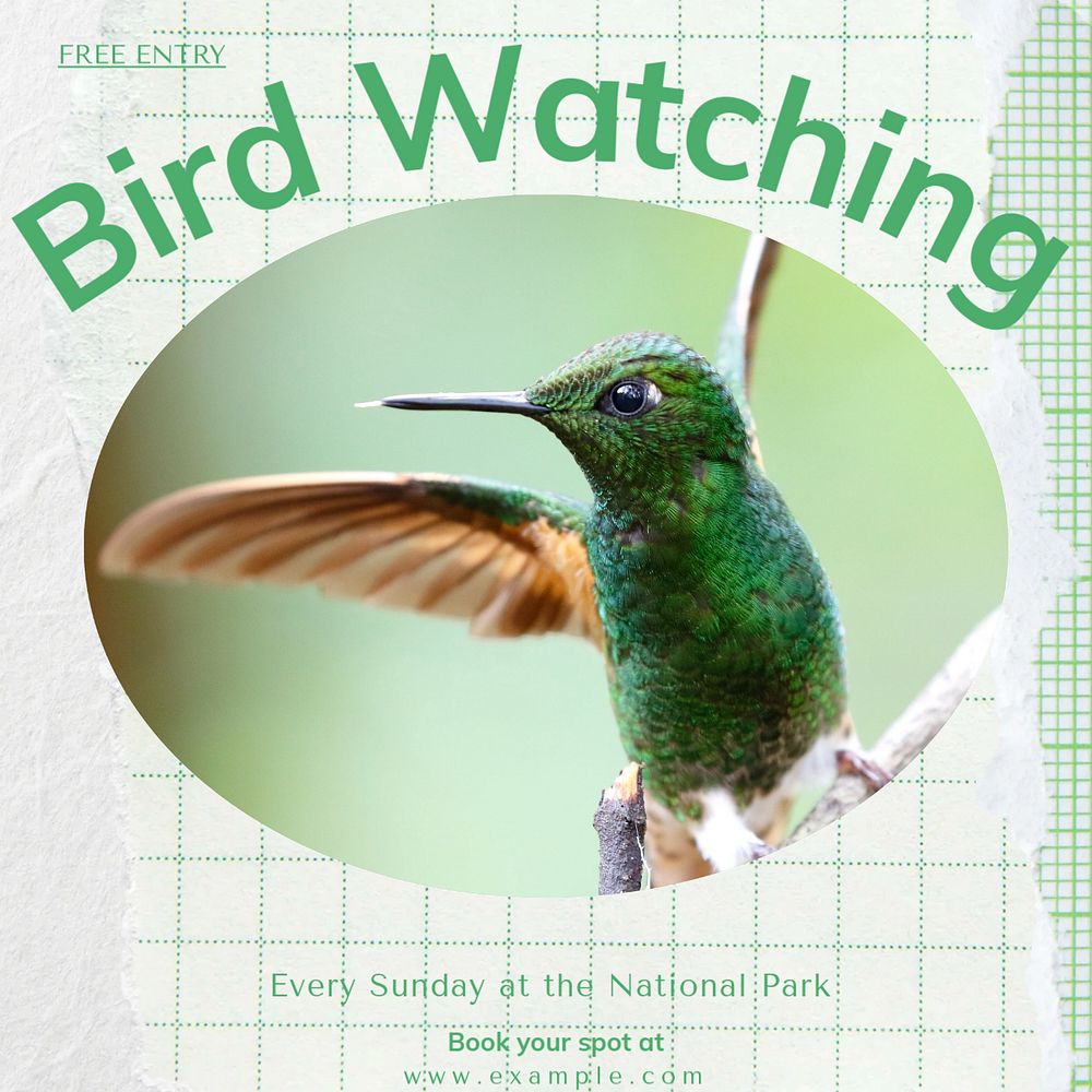 Bird watching Instagram post template, editable text