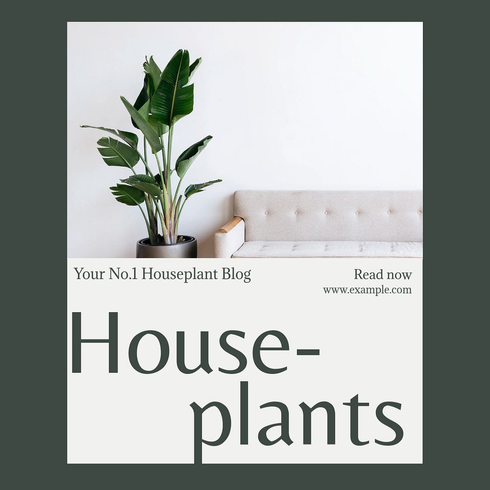 Houseplants 101 Instagram post template, editable design