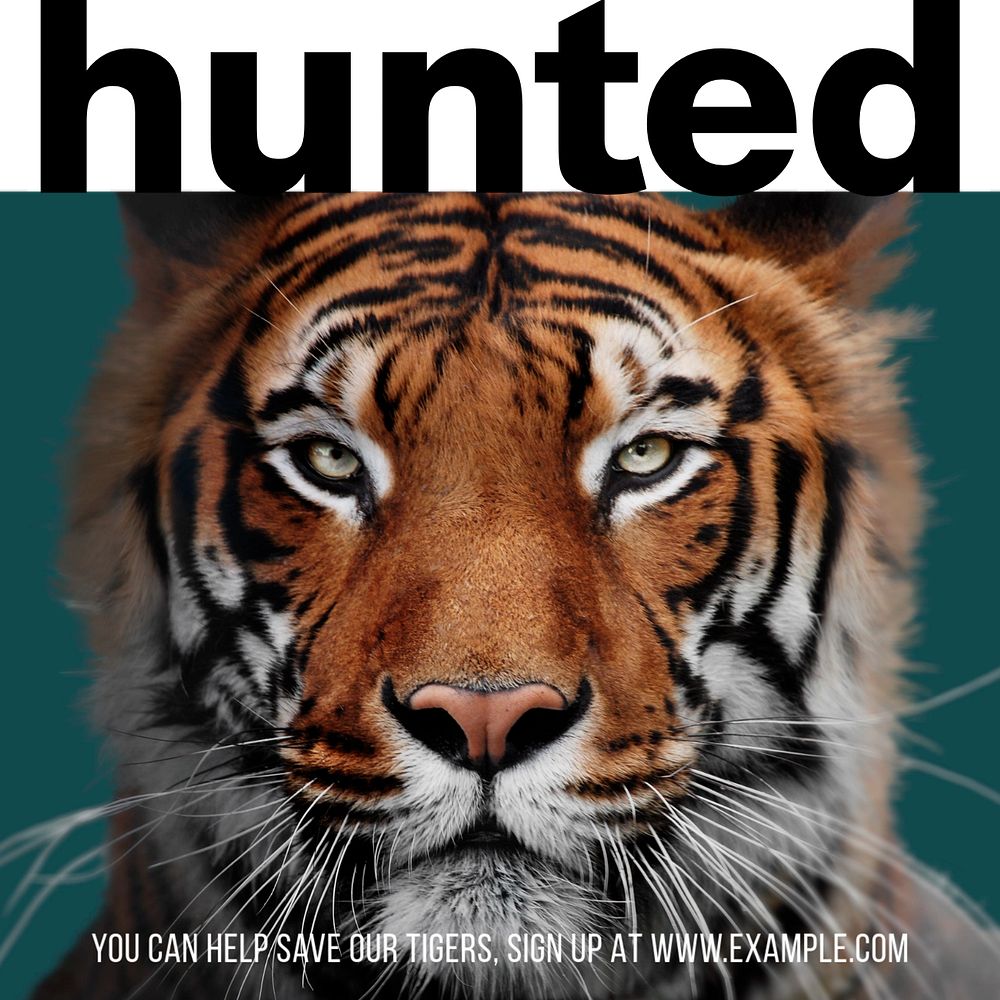 Hunted tiger Instagram ad template, editable text