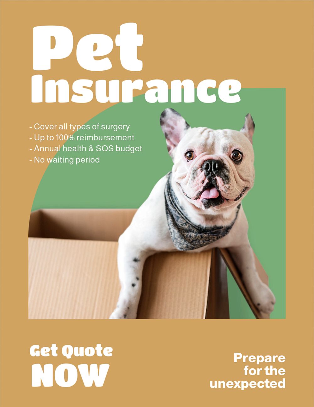 Pet insurance  flyer, editable template