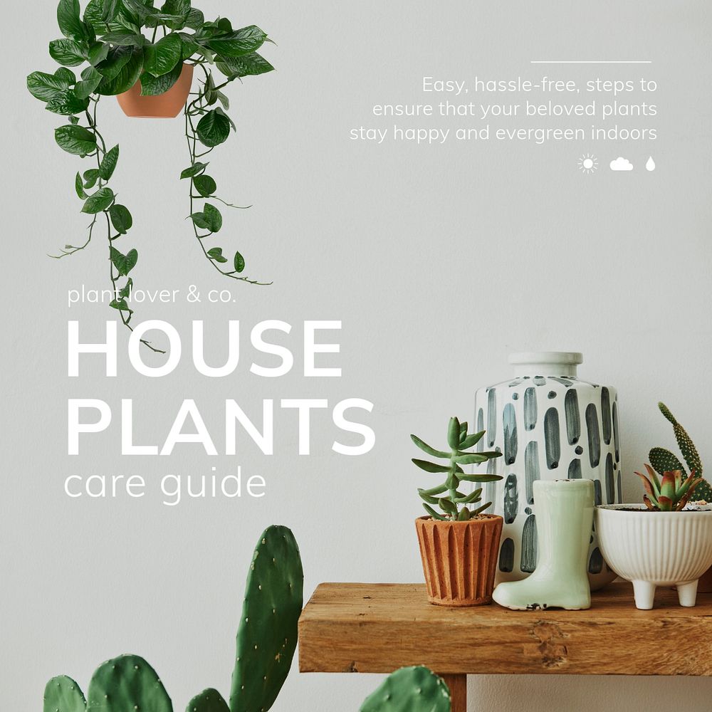 Houseplant guide Facebook post template, editable design