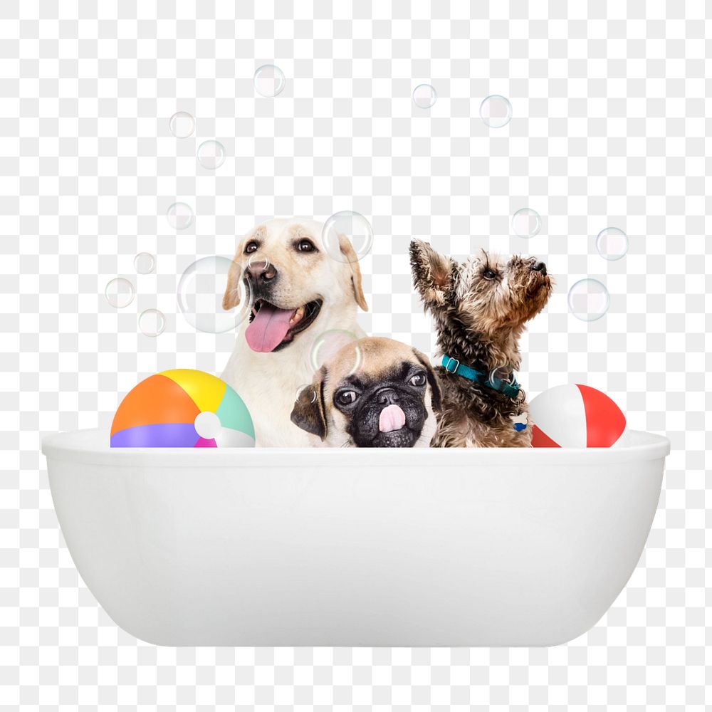 Bathing dogs in a bath tub collage element 