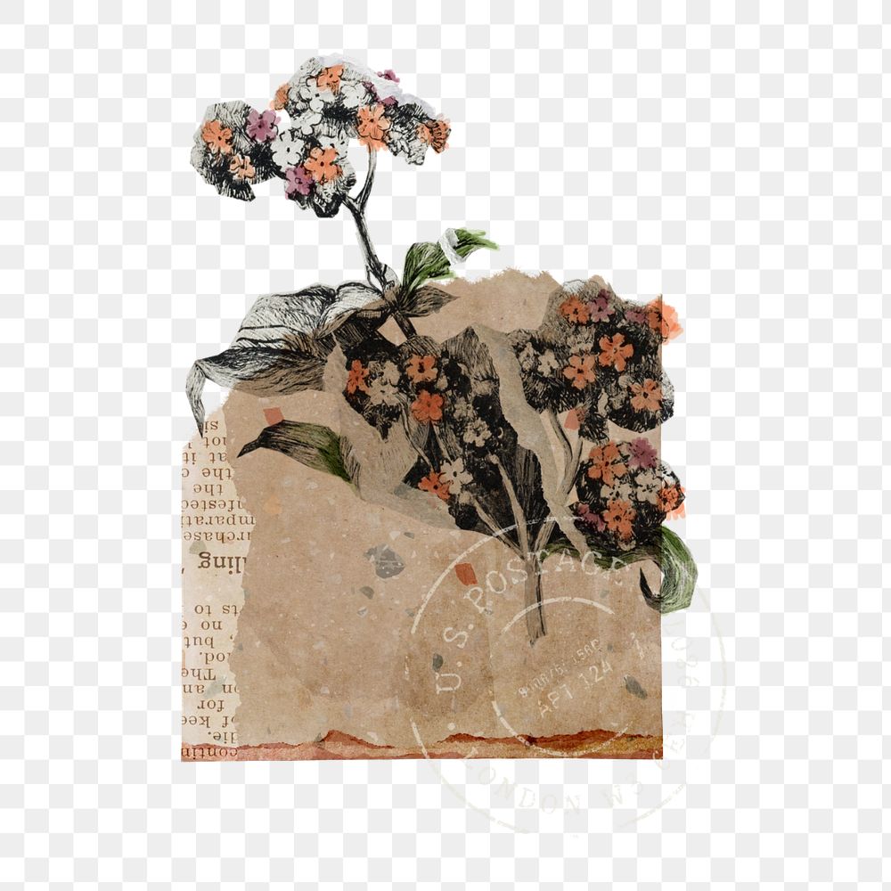 Vintage flower branches collage element