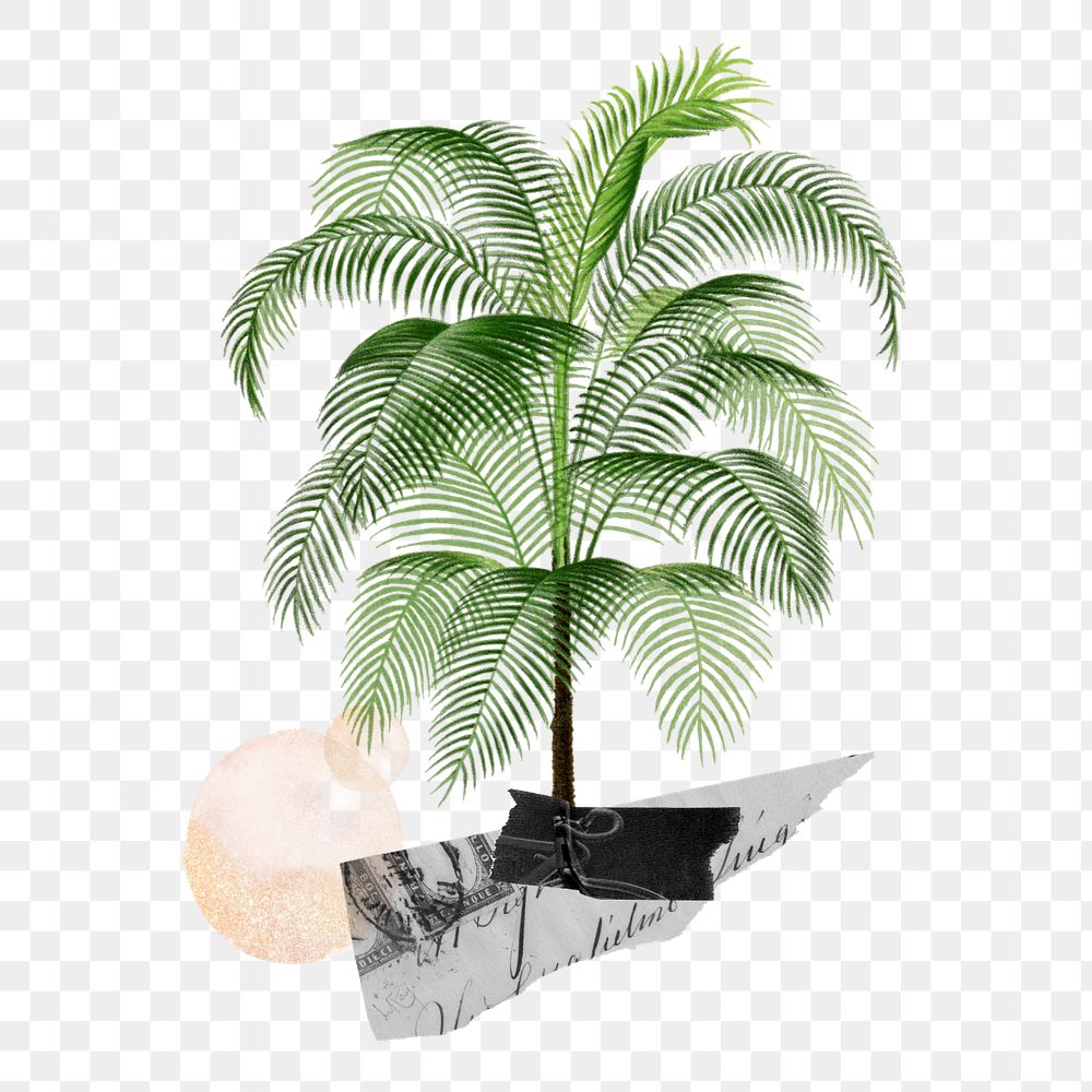 Tropical tree sticker, aesthetic remix design