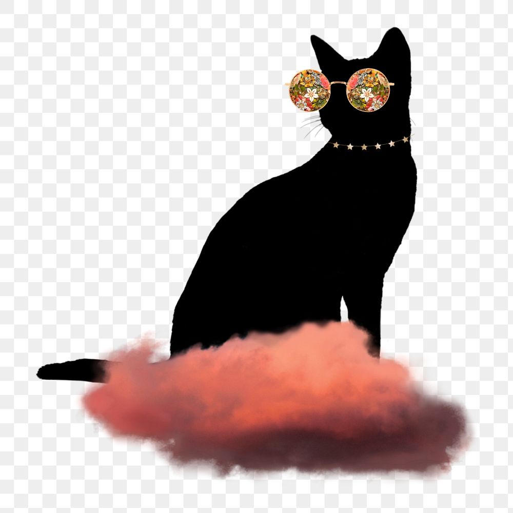 Black cat wearing sunglasses collage element