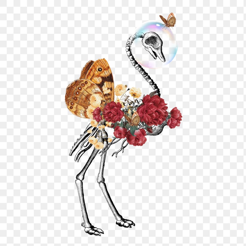 Surreal bird skeleton, flower collage element