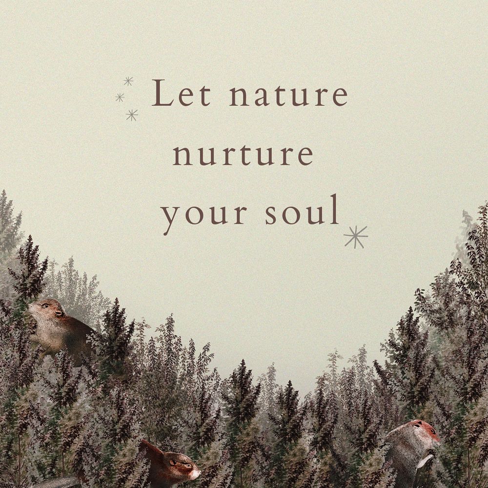 Nature aesthetic Instagram post template, editable design