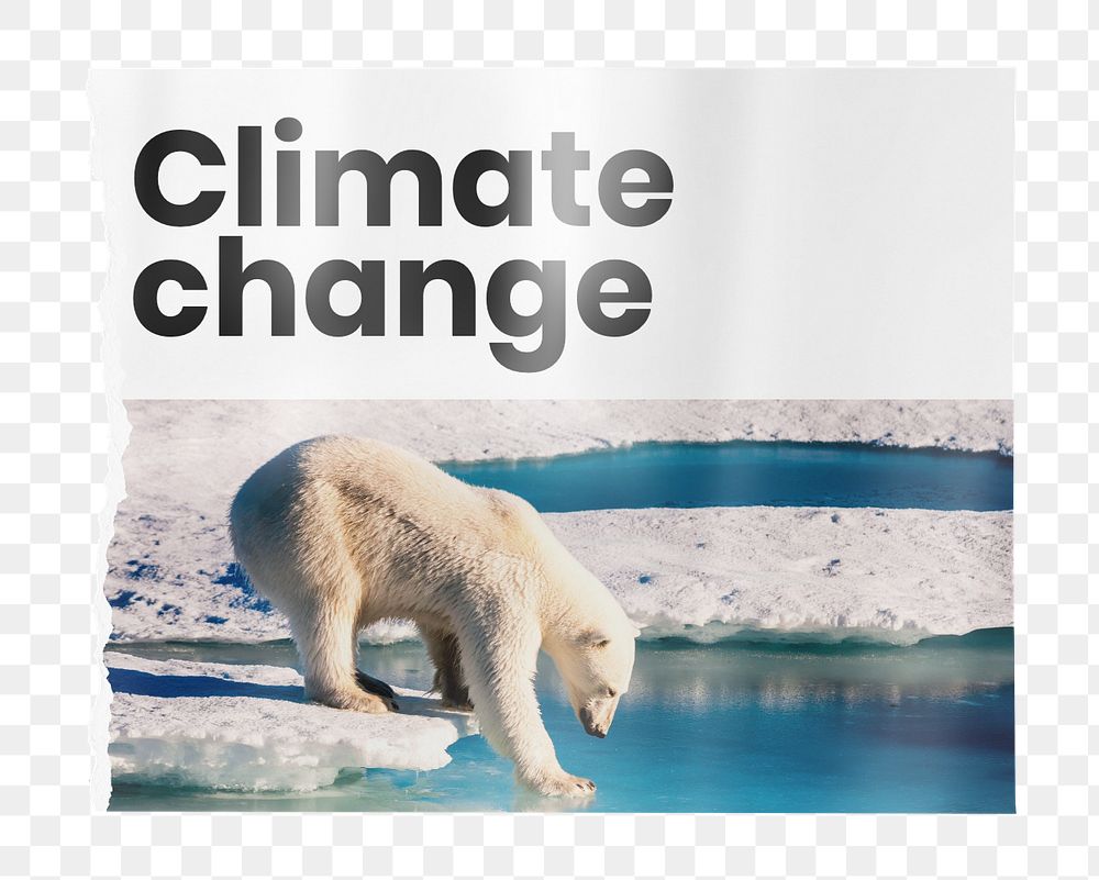 Climate change poster mockup element, customizable design