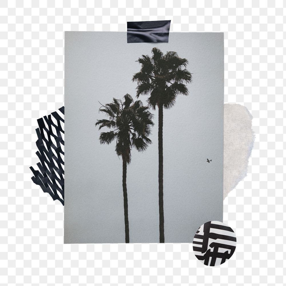 Palm tree card mockup element, customizable design