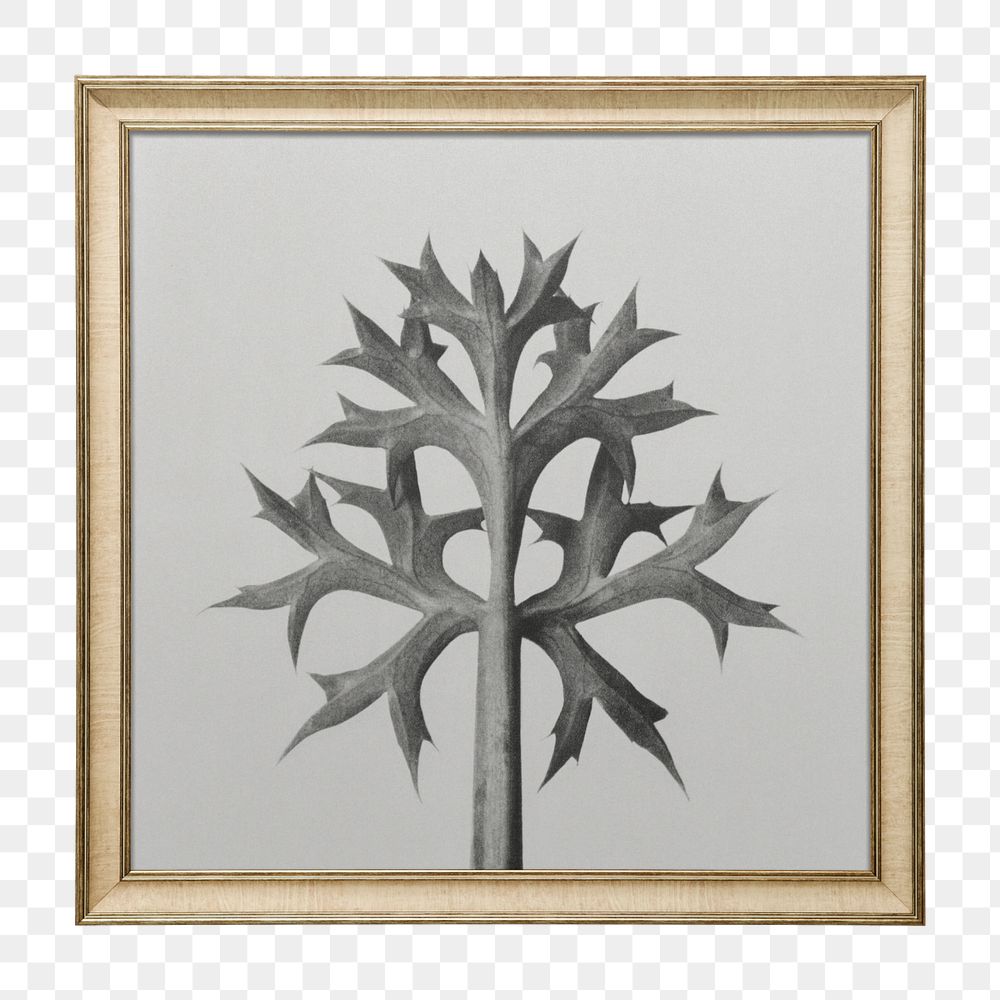 Gold frame mockup element, Karl Blossfeldt's plant remixed by rawpixel
