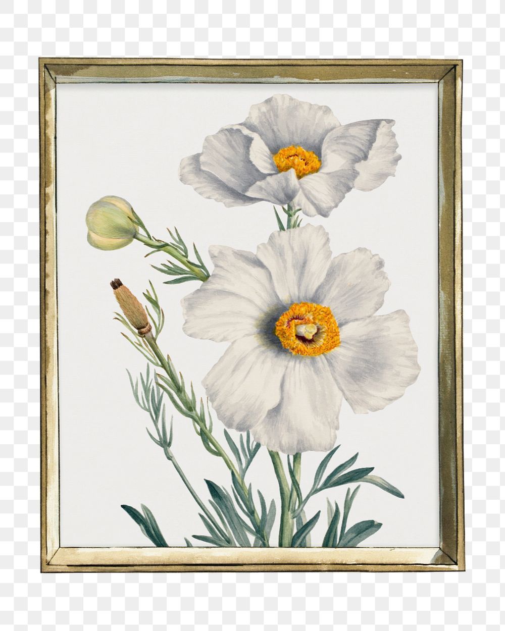 Antique frame mockup element, editable design