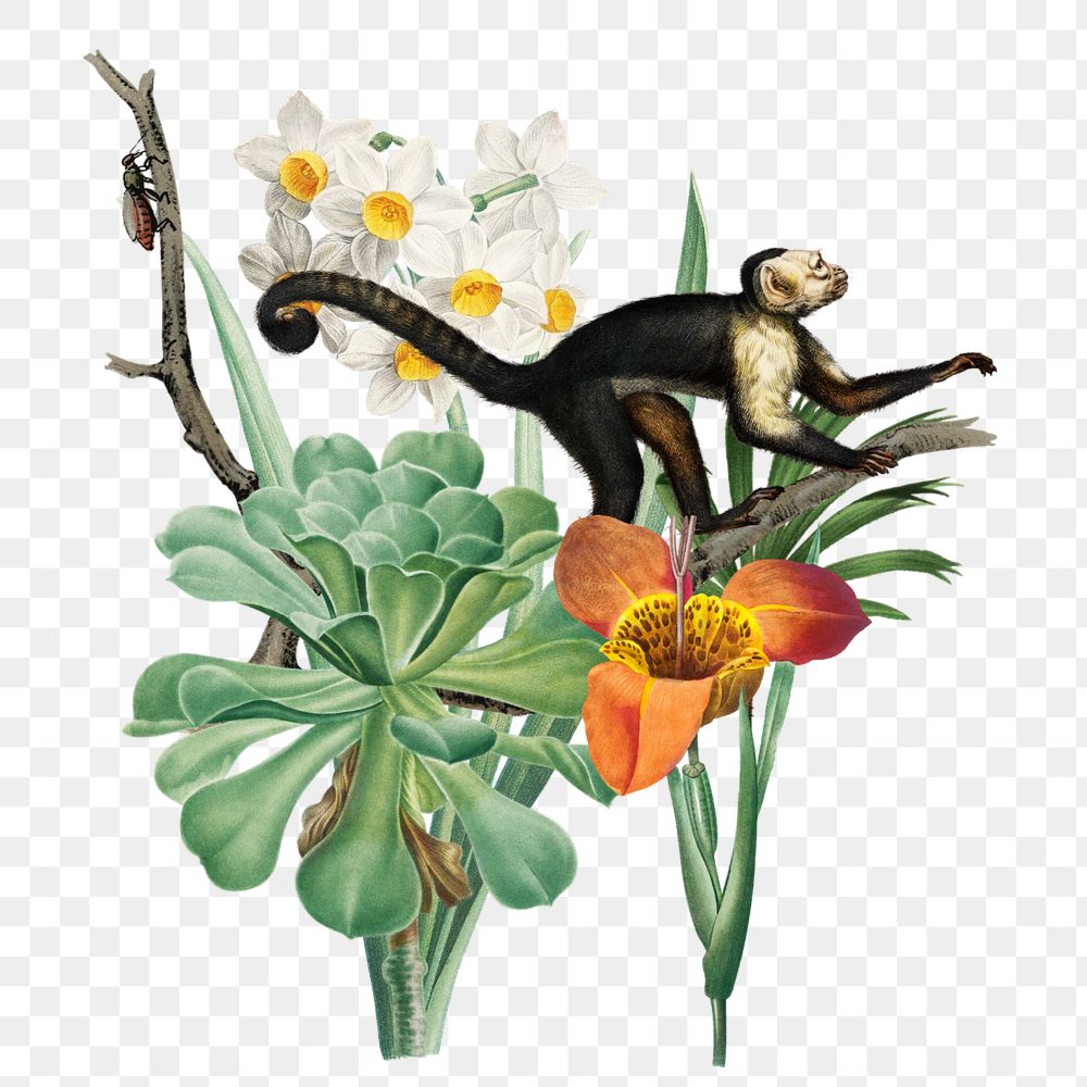 Vintage monkey sticker, wildlife botanical remix , editable design