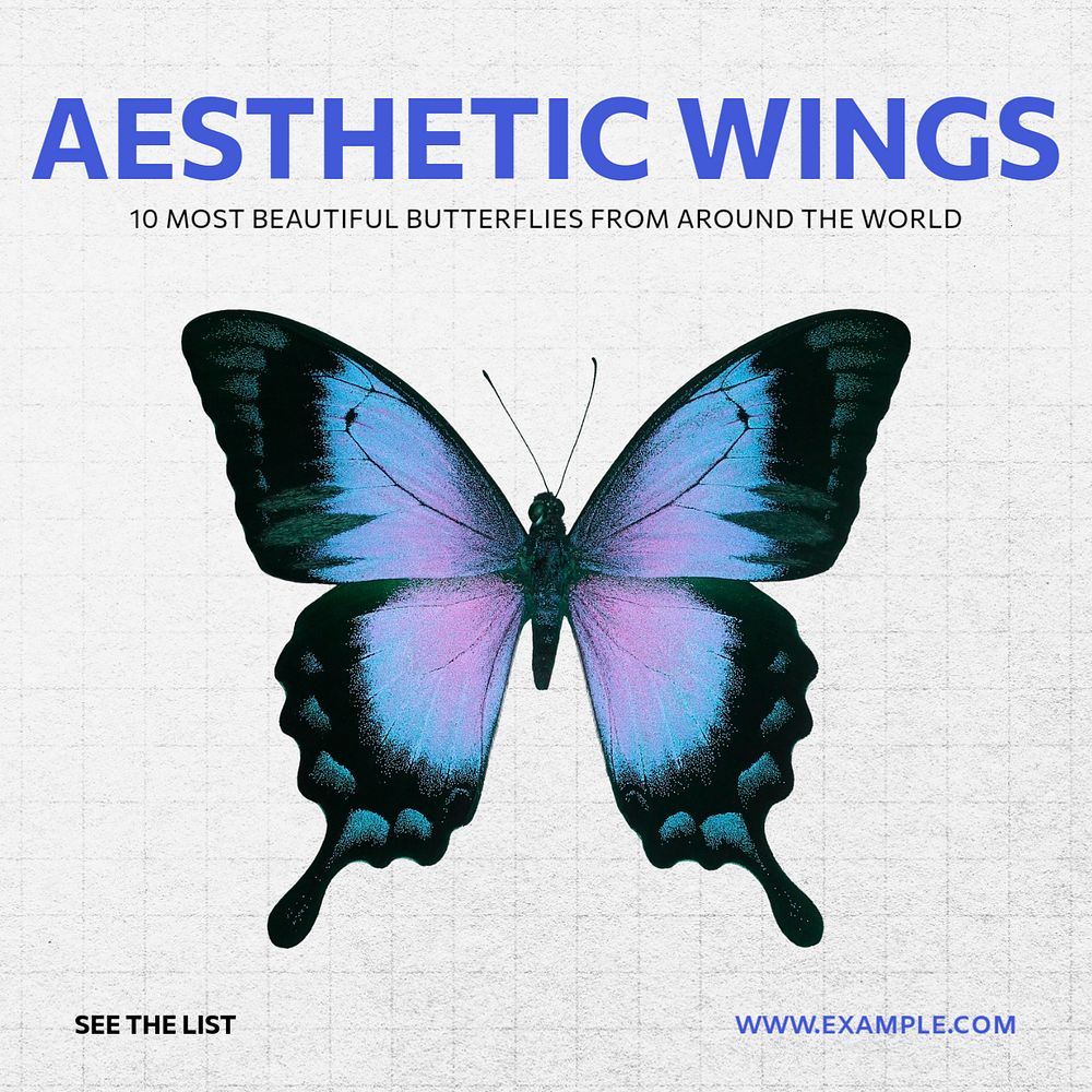 Aesthetic wings Instagram post template, editable social media ad