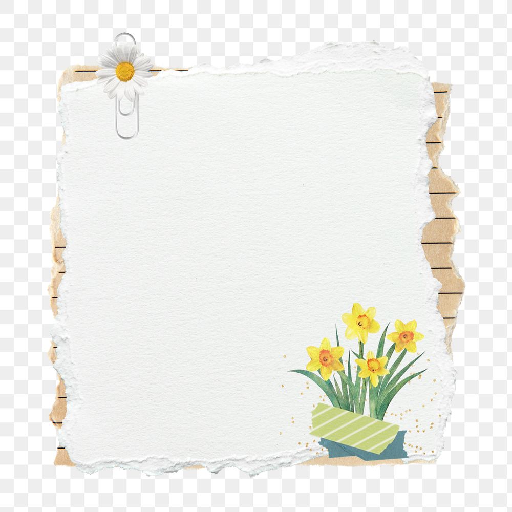 Ripped note paper sticker, editable daffodil collage element remix design