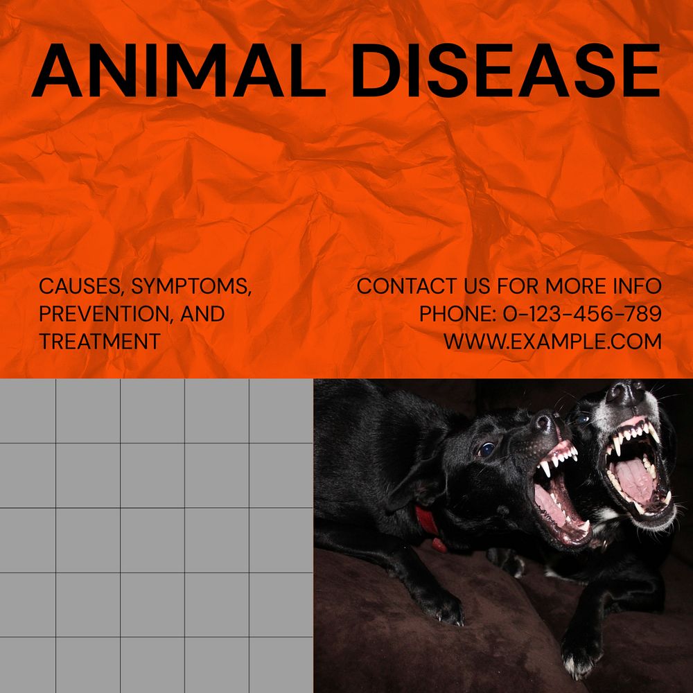 Animal disease Instagram post template, editable social media ad