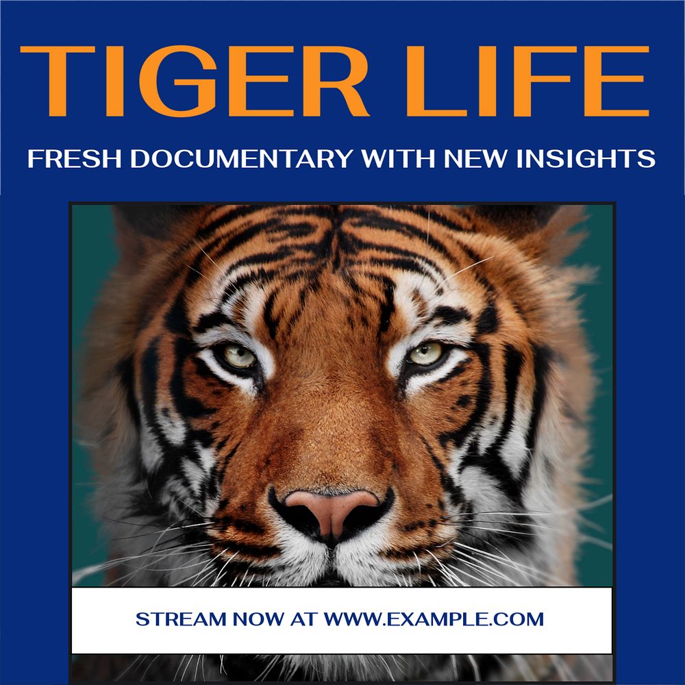 Tiger documentary Instagram post template, editable social media ad