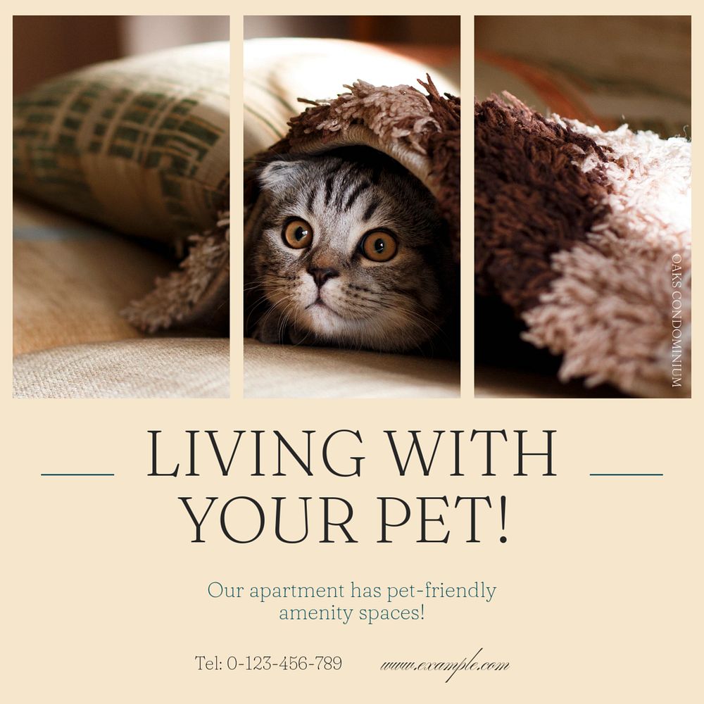 Pet-friendly apartment Instagram post template, editable social media ad