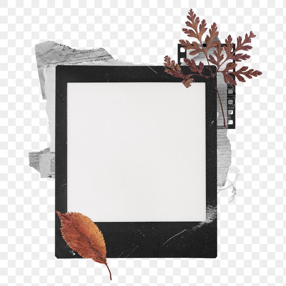 Instant film png mockup element, transparent background